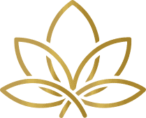 Aesthetic Medical Spa | Wyandotte, Michigan | Zi Bloom Aesthetics Home